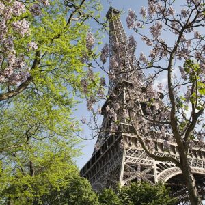 paris the eiffel tower in spring 2307