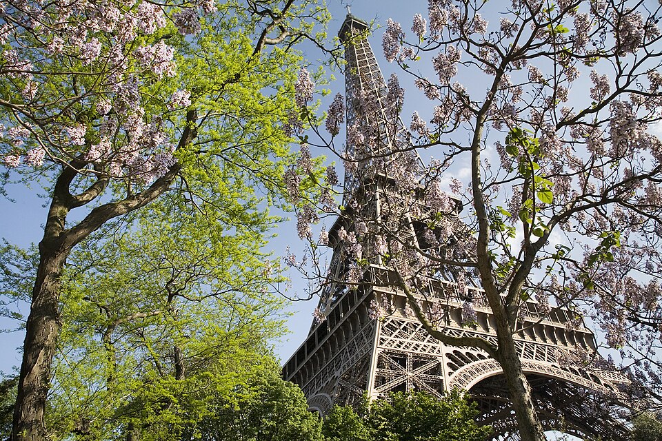 paris the eiffel tower in spring 